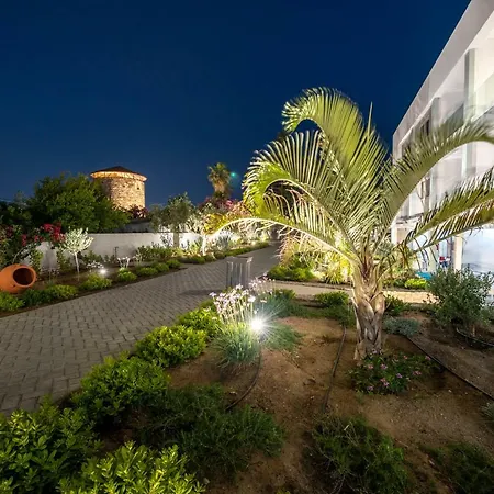 Apollon Windmill Boutique Hotel - Adults Only-3